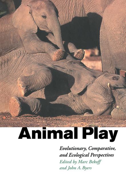 Animal Play - Ingram
