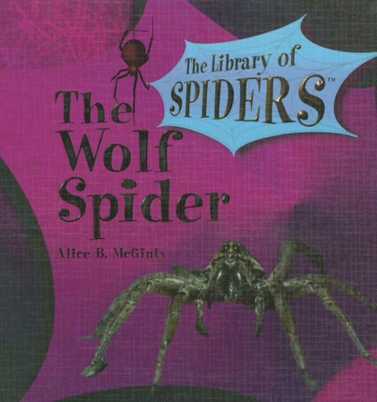 Wolf Spider - Ingram