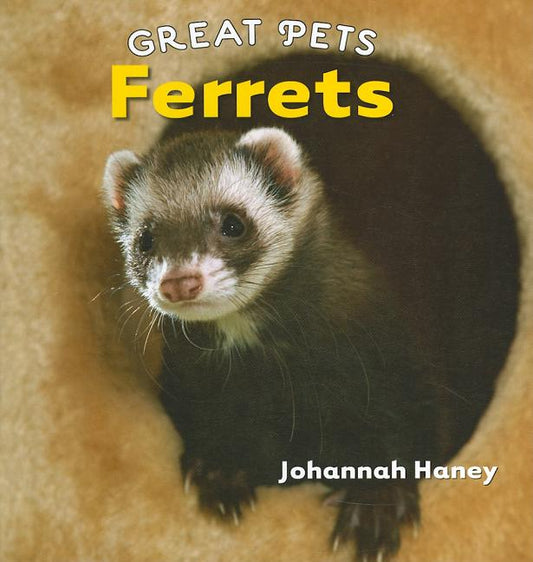Ferrets - Ingram