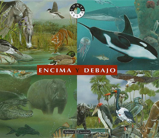 Encima y Debajo - Ingram