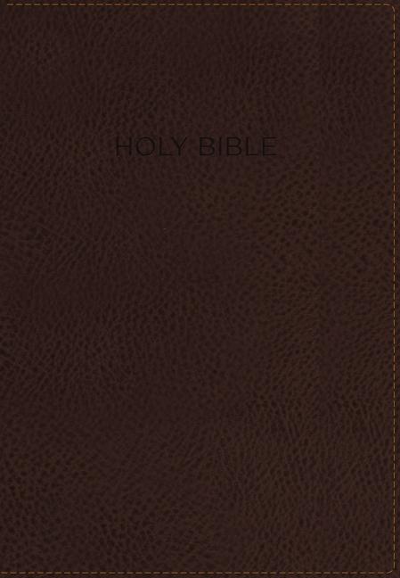 Foundation Study Bible-NIV - Ingram