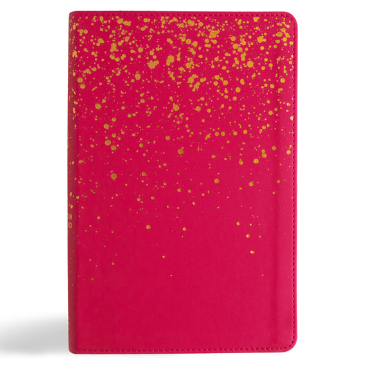 CSB Kids Bible, Pink Leathertouch - Ingram