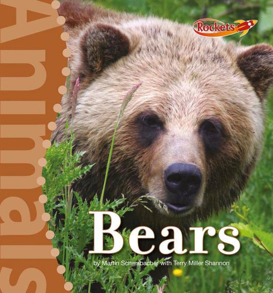 Bears - Ingram