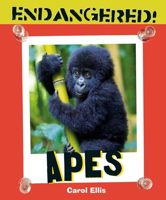 Apes - Ingram