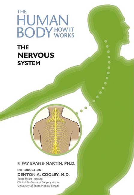 Nervous System - Ingram