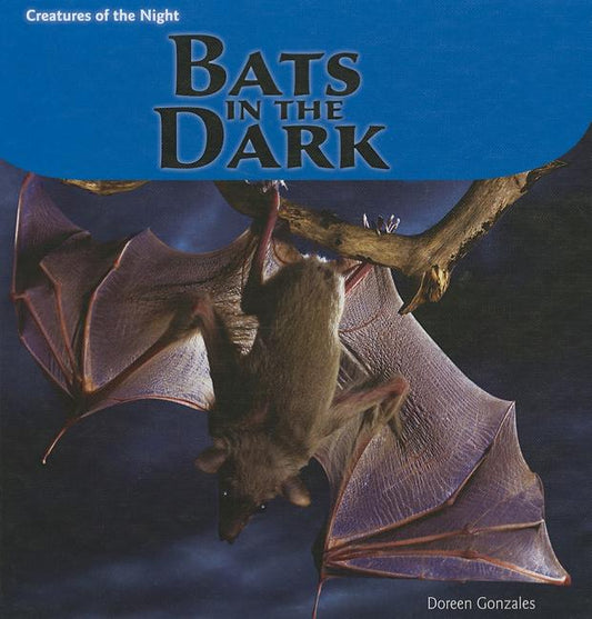 Bats in the Dark - Ingram