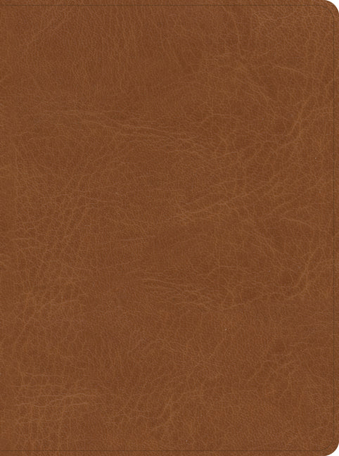 CSB He Reads Truth Bible, Saddle Leathertouch, Indexed - Ingram