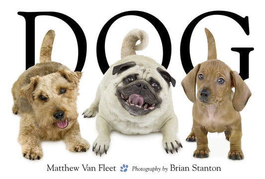 Dog - Ingram