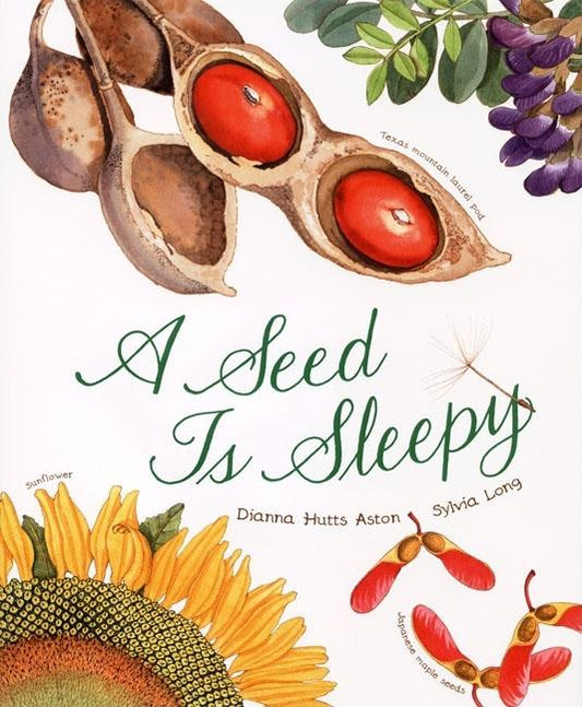 Seed Is Sleepy - Ingram