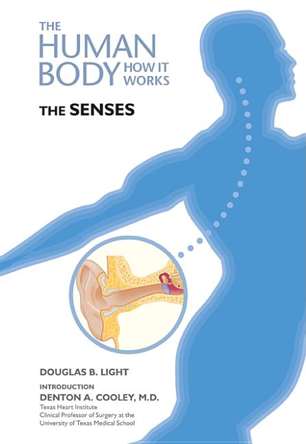 Senses - Ingram