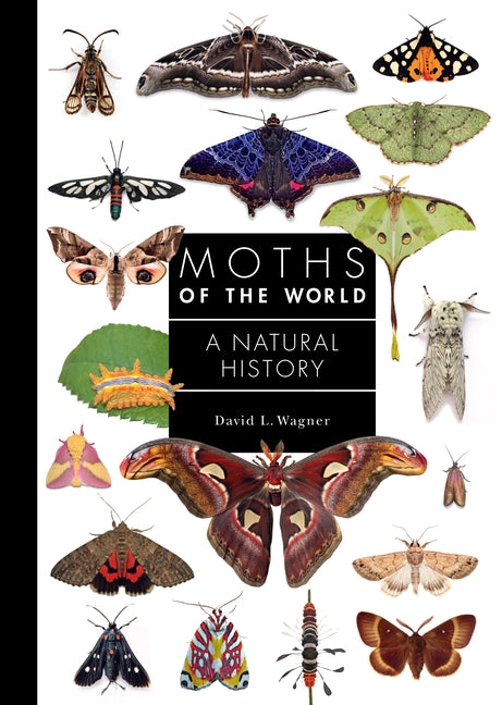 Moths of the World: A Natural History - Ingram
