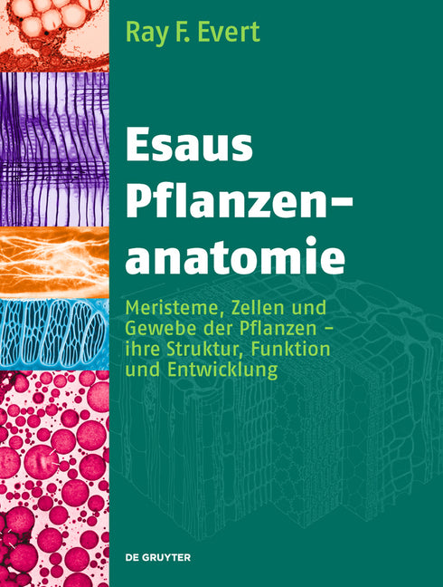 Esaus Pflanzenanatomie - Ingram