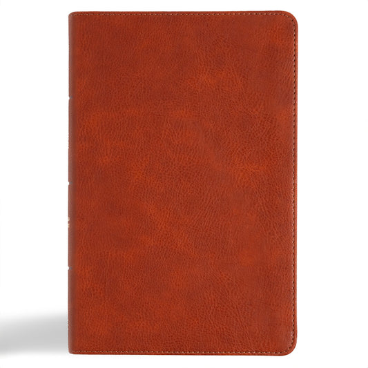 CSB Large Print Personal Size Reference Bible, Digital Study Edition, Burnt Sienna Leathertouch (, Digital Study) - Ingram