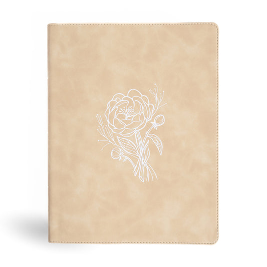CSB Illustrator's Notetaking Bible, Large Print Edition, Cream Leathertouch - Ingram