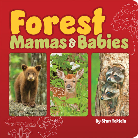 Forest Mamas & Babies - Ingram