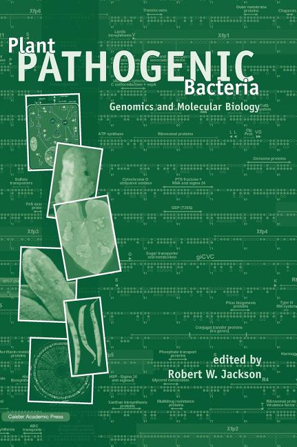 Plant Pathogenic Bacteria: Genomics and Molecular Biology - Ingram