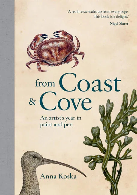 From Coast & Cove: An Artist's Year in Paint and Pen - stevensbooks