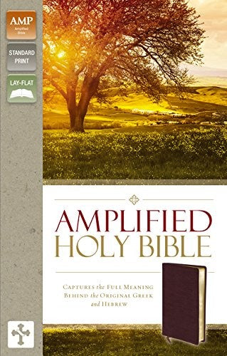 Amplified Bible-Am: Captures the Full Meaning Behind the Original Greek and Hebrew