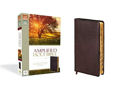 Amplified-Am: Captures the Full Meaning Behind the Original Greek and Hebrew