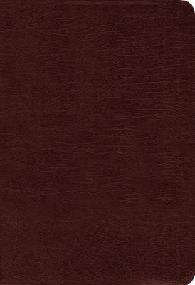 Amplified Bible-Am-Large Print: Captures the Full Meaning Behind the Original Greek and Hebrew